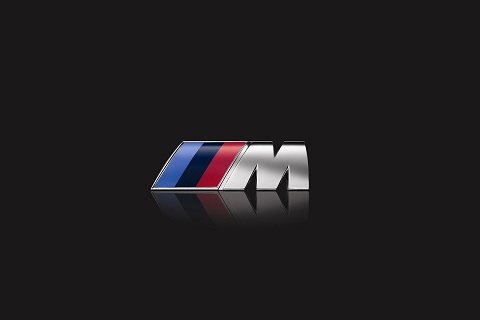 M logo klein.jpg
